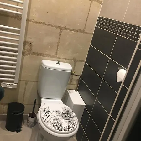 Appartement Vieux Tours, T2 40m2, 4 Pers, Lumineux Tours