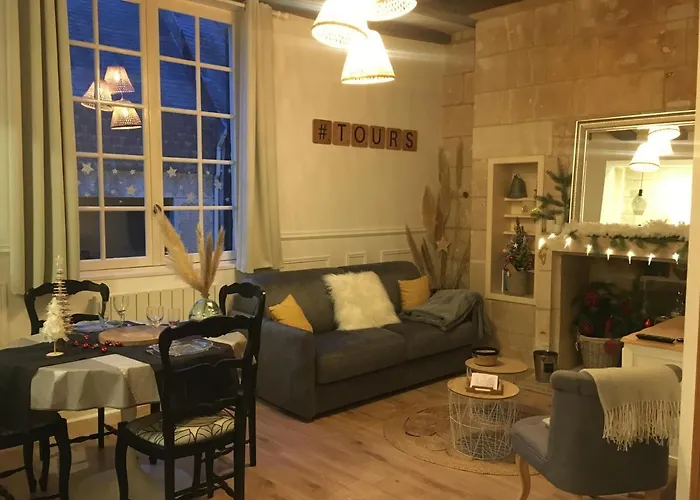 Vieux Tours, T2 40m2, 4 Pers, Lumineux Appartement *